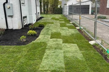 Professional Patio Gardening Services in Boston, MA – Sosa Construction (1) Professional Patio Gardening Services in Boston, MA - Sosa Construction (1)